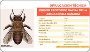 Imagen Abeja