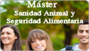 Imagen decorativa relativa al master