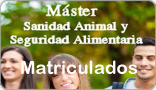 Imagen decorativa relativa al master