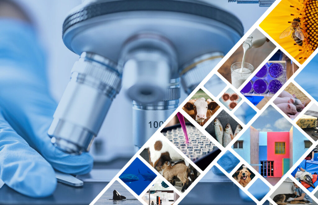 Imagen de portada. Microscopio