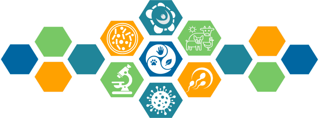 Logos actividades IUSA